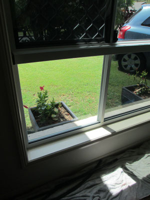 left window inside a house before solar film installed for heat reduction
