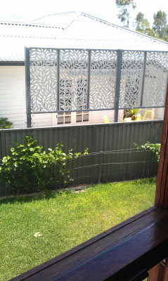 wooden frame windows tinted professionally inside view of house in Strathpine Queensland